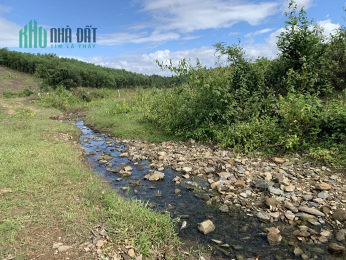 🔥Đất vườn view suối 1181 m2 Thôn Nước Nhĩ Khánh Phú   4xx triệu