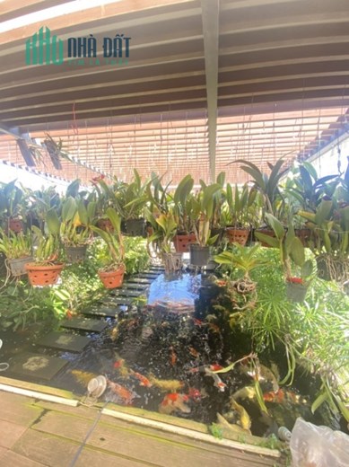 Bán nhà Điện Biên Phủ, Khu VIP Bình Thạnh, 110m2 , 6 tầng Thang máy, Hẻm 10m vỉa hè