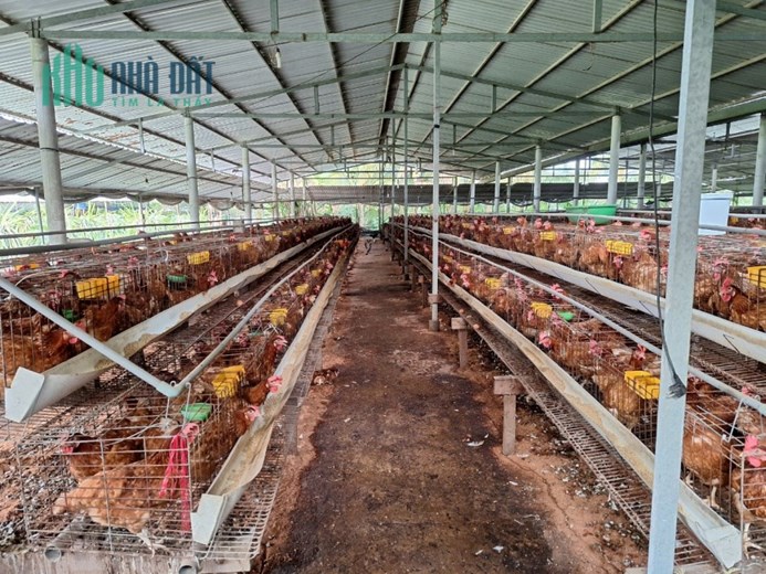 CHÍNH CHỦ BÁN NHANH LÔ ĐẤT ĐẸP Tại Xã Long Bình Điền, Huyện Chợ Gạo, Tiền Giang
