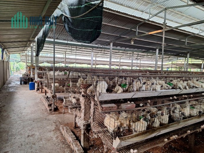 CHÍNH CHỦ BÁN NHANH LÔ ĐẤT ĐẸP Tại Xã Long Bình Điền, Huyện Chợ Gạo, Tiền Giang