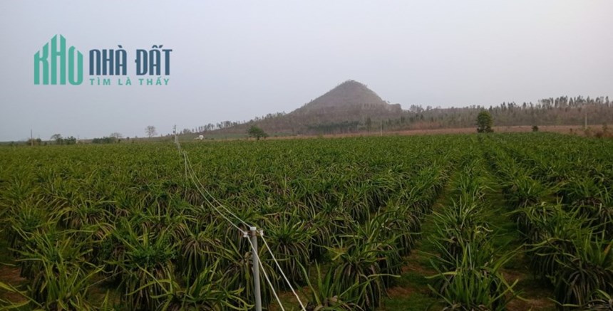Cần bán gấp đất tại Hàm Kiệm, Hàm Thuận Nam, Bình Thuận