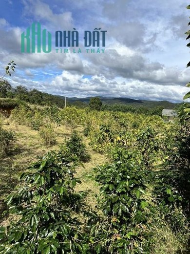 ĐẤT VIEW ĐẸP THÍCH HỢP NGHỈ DƯỠNG
THUỘC XÃ TRẠM HÀNH ĐÀ LẠT