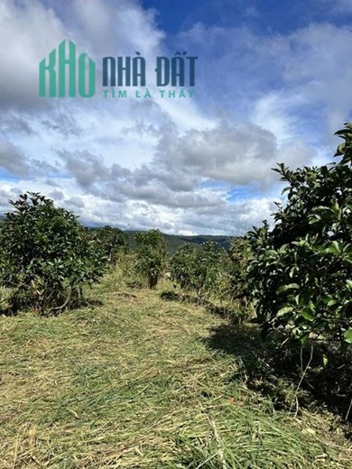 ĐẤT VIEW ĐẸP THÍCH HỢP NGHỈ DƯỠNG
THUỘC XÃ TRẠM HÀNH ĐÀ LẠT