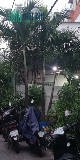 Bán Nhà đường Hoàng Hoa Thám quận Bình Thạnh diện tích 50 m2