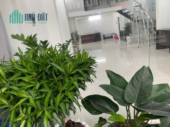 Bán mặt tiền kinh doanh quận 10 6 tầng 70m2 đang cho thuê 50 triệu/1 tháng 21 tỷ 5 TL tốt