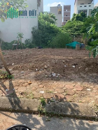 Bán gấp đất dịch vụ Dương Nội Hà Đông mặt đường đôi 50m2 mt5m giá 5.5 tỷ