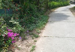 Em bán nền mặt tiền đường Bùi Hữu Nghĩa TP Cao Lãnh giá rẻ 1,9 tỷ đồng,