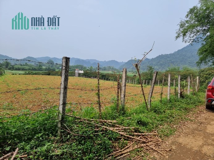 Chính chủ cần bán đất tại Mỹ Hoà - Tân Lạc - Hoà Bình