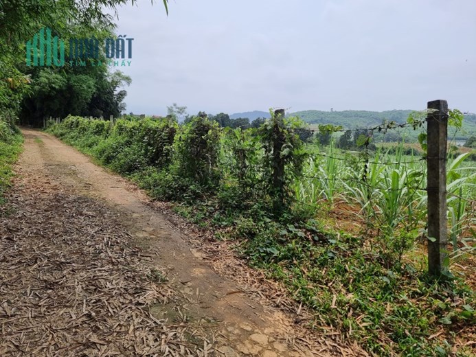 Chính chủ cần bán đất tại Mỹ Hoà - Tân Lạc - Hoà Bình