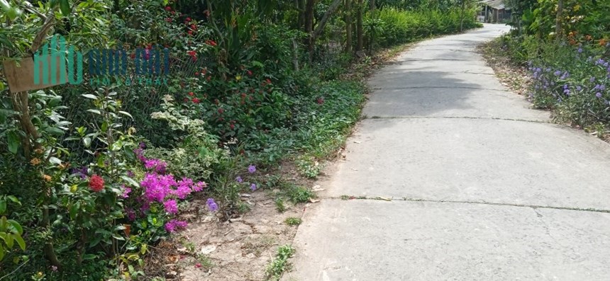 Em bán nền mặt tiền diện tích 300m2 đường Bùi Hữu Nghĩa TP Cao Lãnh giá rẻ chỉ 1,9 tỷ đồng