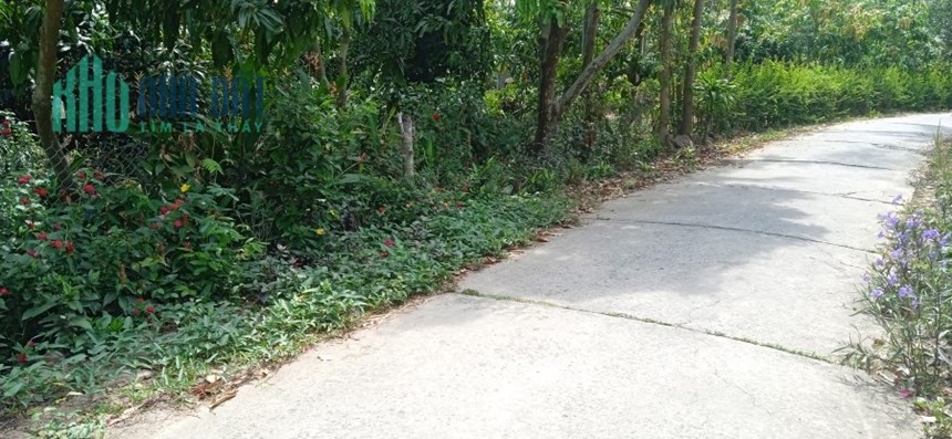 Em bán nền mặt tiền diện tích 300m2 đường Bùi Hữu Nghĩa TP Cao Lãnh giá rẻ chỉ 1,9 tỷ đồng