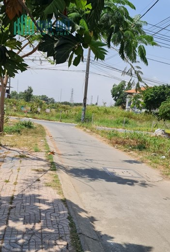 Lô đất 185 m2 khu phân lô đường nhựa 6m gần vòng xoay Phú Hữu TP.Thủ Đức chỉ nhỉnh 6 tỷ