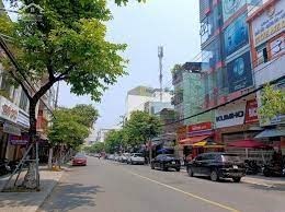 Nhà Mặt Tiền Lê Đình Dương 10.5, Ngang 7.3, 3 tầng