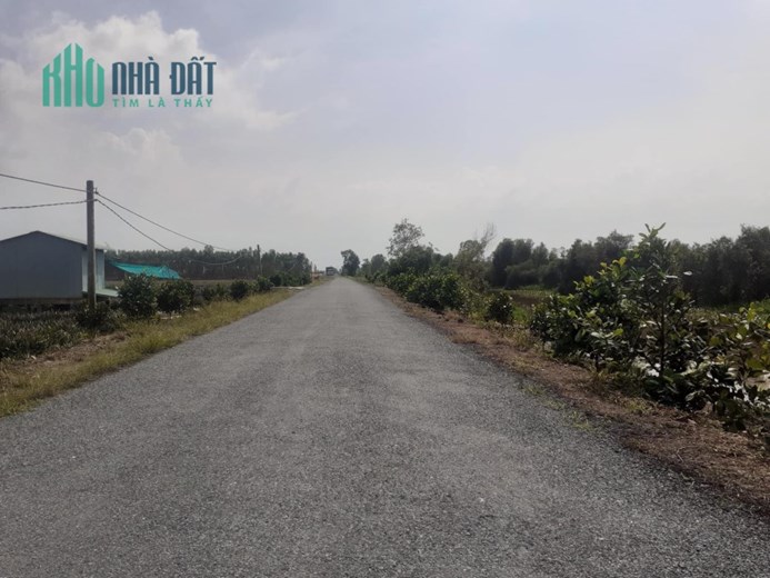 1 hecta mặt tiền huyện lộ 42,thị trấn Mỹ Phước,Tân Phước,Tiền Giang