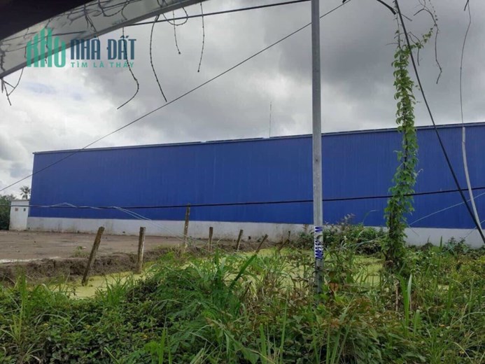 Bán 13x30m đất mặt tiền tỉnh lộ 864,Kim Sơn, Châu Thành,Tiền Giang