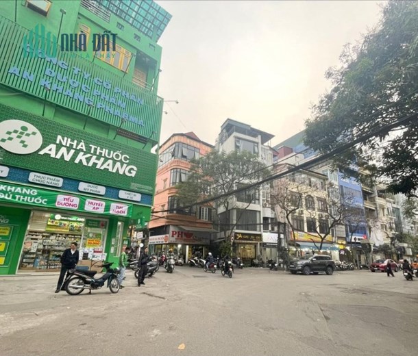 Nhà 40m Xây 5 Tầng Mặt Phố Quốc Tử Giám. Lô Góc Kinh Doanh Cực Đỉnh. Chủ Thiện Chí Bán Nhà Quốc Tử