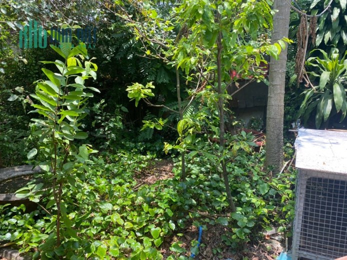 CHÍNH CHỦ Cần Bán Đất Vị Trí Đẹp Tại Phường An Hội, TP Bến Tre