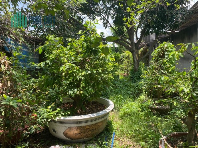 CHÍNH CHỦ Cần Bán Đất Vị Trí Đẹp Tại Phường An Hội, TP Bến Tre