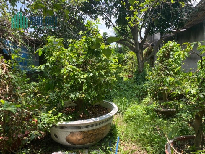 CHÍNH CHỦ Cần Bán Đất Vị Trí Đẹp Tại Phường An Hội, TP Bến Tre
