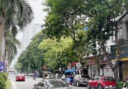 Bán nhà lô góc Nguyễn Khuyến Hà Đông, kinh doanh đắc địa, 118m2x5T, mt20m nhỉnh 24 tỷ