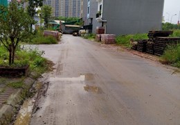 Bán Đất Dịch Vụ Phú Vinh, Chủ Ngấp Ngoải, Phân Lô, Vỉa Hè, Sát KĐT Spendora, DT 47m. Giá 3 Tỷ.