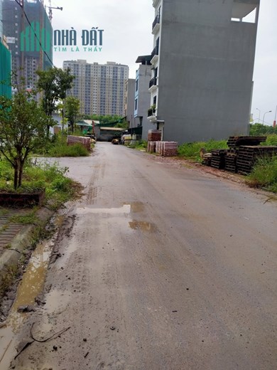 Bán Đất Dịch Vụ Phú Vinh, Chủ Ngấp Ngoải, Phân Lô, Vỉa Hè, Sát KĐT Spendora, DT 47m. Giá 3 Tỷ.