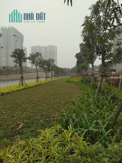 Bán Đất Dịch Vụ Phú Vinh, Chủ Ngấp Ngoải, Phân Lô, Vỉa Hè, Sát KĐT Spendora, DT 47m. Giá 3 Tỷ.