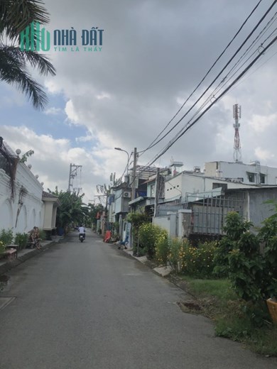 Mặt tiền nhựa 8m 75M Chỉ 6 tỷ Trường Thọ Thương lượng tốt