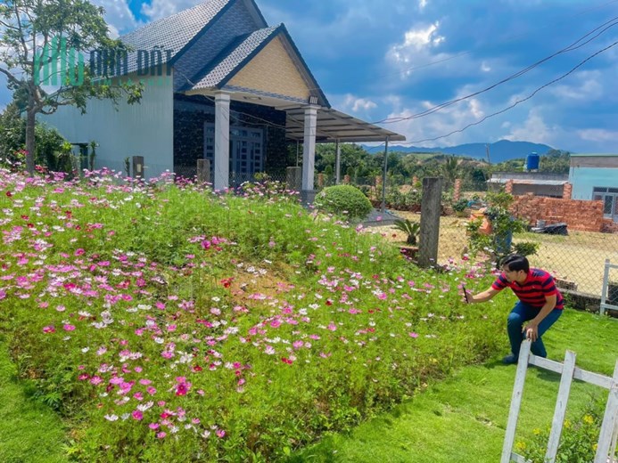 Ra gấp lô đất ngay UBND Tân Lạc - Bảo Lộc, 400tr sở hữu 170m2, SHR