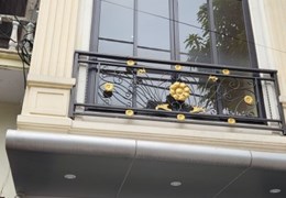 Nhà nguyên căn mặt phố Thuỵ Khuê 50m 4T. MT5m. Kinh doanh tốt. 28 triệu