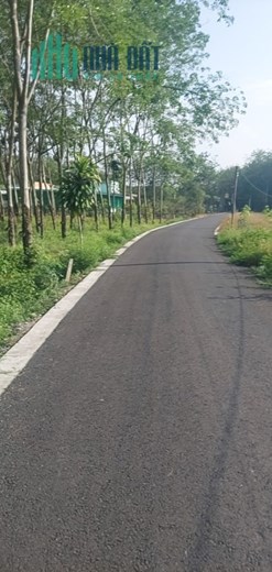 Bán lô đất DT 749A, Long Tân, H.Dầu Tiếng, Bình Dương