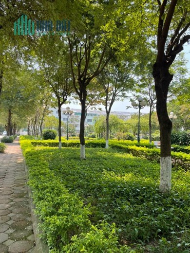 Bán biệt thự Geleximco Lê Trọng Tấn, Hà Đông, 320m2, Mt16m, view công viên, 20.6 tỷ