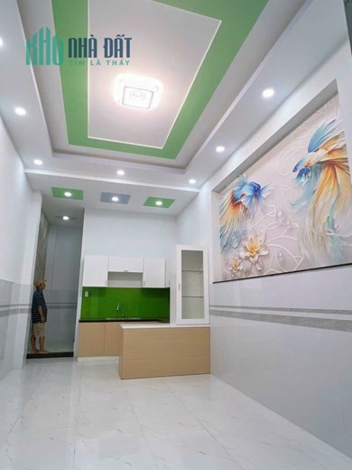 Nhà bán Bình Tân TP HCM Đường Ao Đôi