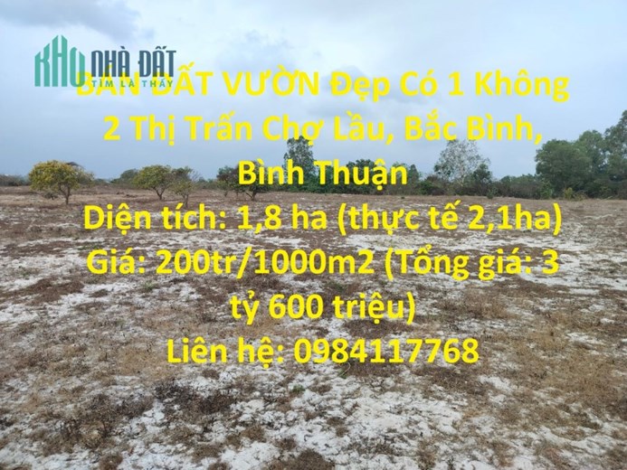 BÁN ĐẤT VƯỜN Đẹp Có 1 Không 2 Thị Trấn Chợ Lầu, Bắc Bình, Bình Thuận
