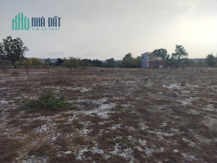BÁN ĐẤT VƯỜN Đẹp Có 1 Không 2 Thị Trấn Chợ Lầu, Bắc Bình, Bình Thuận