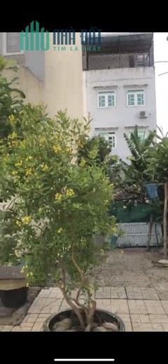 CHO THUÊ ĐẤT MẶT TIỀN ĐƯỜNG PHẠM CÔNG TRỨ, PHƯỜNG THẠNH MỸ LỢI, TP.THỦ ĐỨC