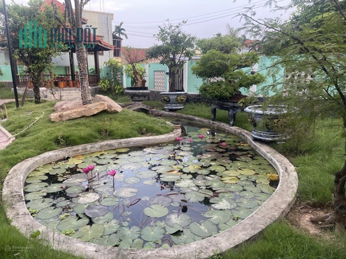 Chính chủ cần bán gấp biệt thự sân vườn nhà gỗ cao cấp giá rẻ Đường Quốc Lộ 14B, Xã Hòa Khương, Hòa