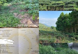 CHÍNH CHỦ CẦN BÁN ĐẤT ĐỒI TẠI HÀ GIANG