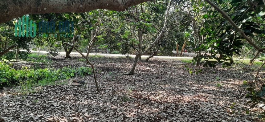 Chính chủ cần bán lô đất cách trung tâm Long Khánh 5km