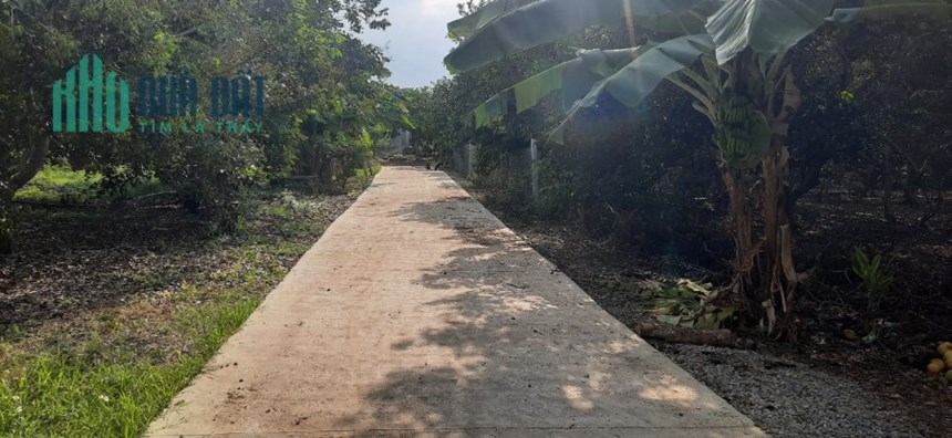 Chính chủ cần bán lô đất cách trung tâm Long Khánh 5km