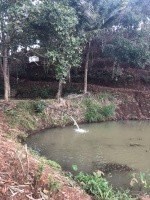 Chính chủ cần bán Lô Đất view như Đà Lạt trung tâm TP. Buôn Ma Thuột  Đắk Lắk