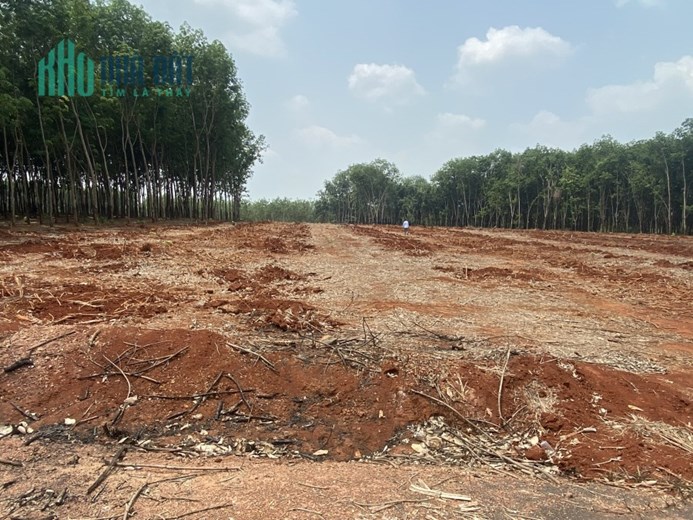 Tôi chính chủ cần bán gấp lô mặt đường Xã Tân Lợi, Bình Phước