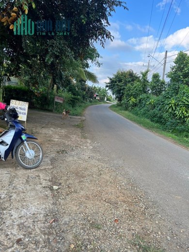 Cần Bán lô đất QL 20, Hoà Bắc, Di Linh, Lâm Đồng 1,28tỷ
