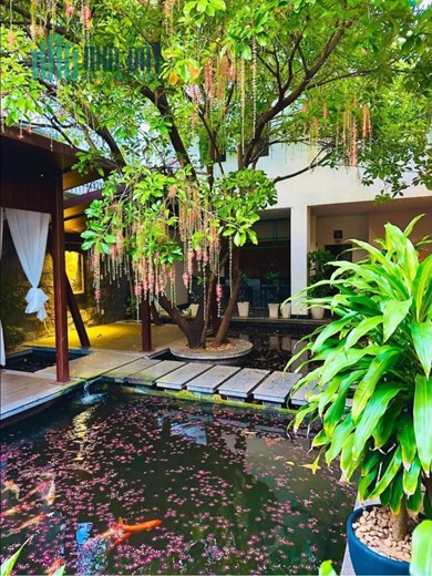 SANG NHƯỢNG MẶT BẰNG PHÒNG TẬP YOGA