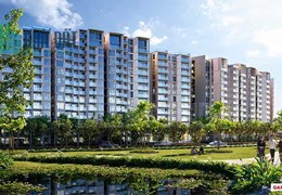 Sở hữu căn hộ tại Elysian chỉ từ 2tỷ, thanh toán lên đến 36 tháng