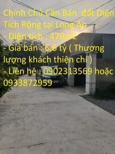 Chính Chủ Cần Bán đất Diện Tích Rộng tại Đức Hòa, Long An