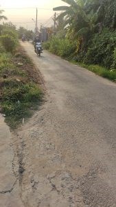 Chính Chủ Cần Bán 4 lô đất thổ cư ngay chợ Tân Hương, Tiền Giang