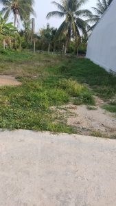 Chính Chủ Cần Bán 4 lô đất thổ cư ngay chợ Tân Hương, Tiền Giang