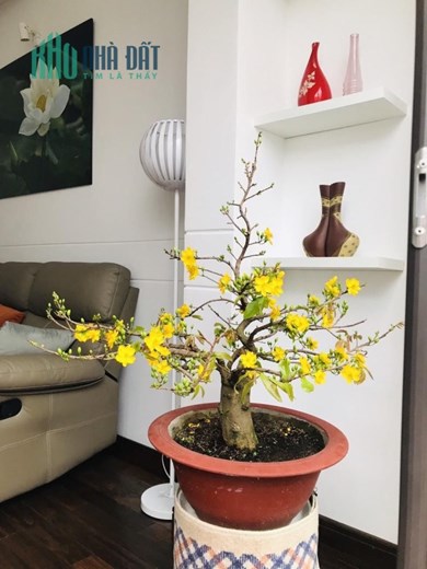 Bán gấp Kênh tân Hóa quận Tân phú 81m2 x4T chỉ 4ty99