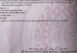 CHÍNH CHỦ BÁN Lô Đất View Kênh Tại Thạnh Hưng – Đông Thạnh – Gò Công Tây – Tiền Giang